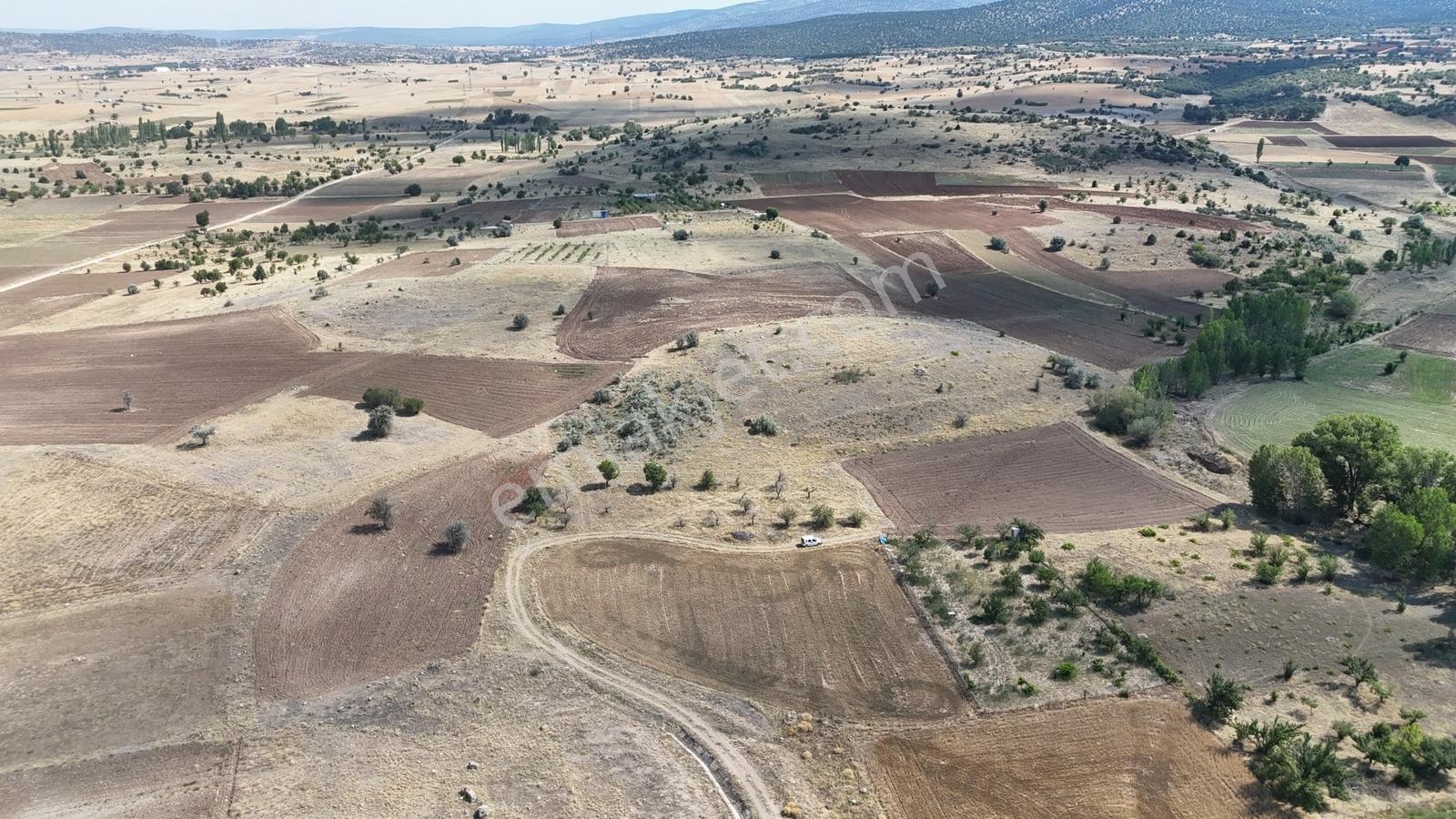 Konya / Akören / Tülce Mahallesinde 1.595 M² Müstakil Tapulu Bağ - Görsel 7