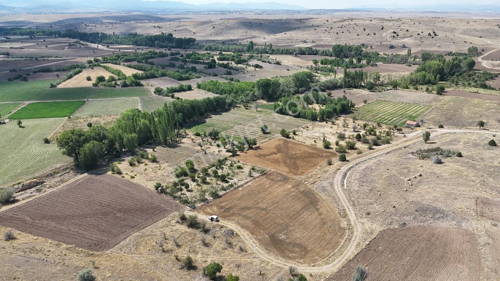 Konya / Akören / Tülce Mahallesinde 1.595 M² Müstakil Tapulu Bağ - Görsel 12