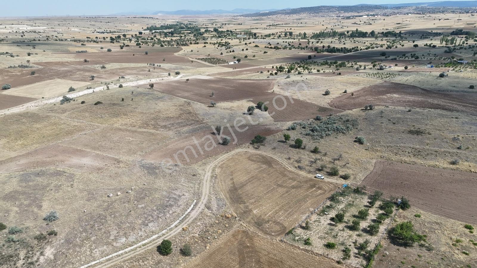 Konya / Akören / Tülce Mahallesinde 1.595 M² Müstakil Tapulu Bağ - Görsel 8