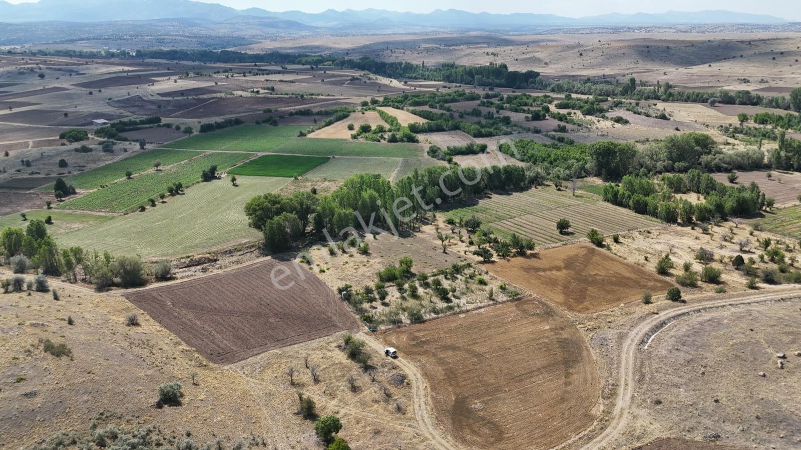 Konya / Akören / Tülce Mahallesinde 1.595 M² Müstakil Tapulu Bağ - Görsel 5