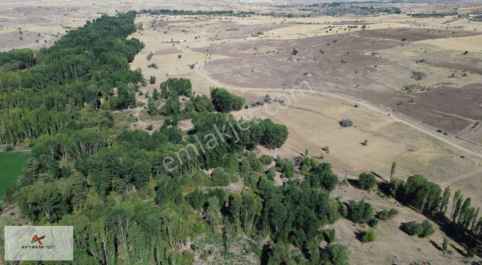 Akören Tülce Mahallesinde 969 M² Müstakil Tapulu Kavaklık - Görsel 3