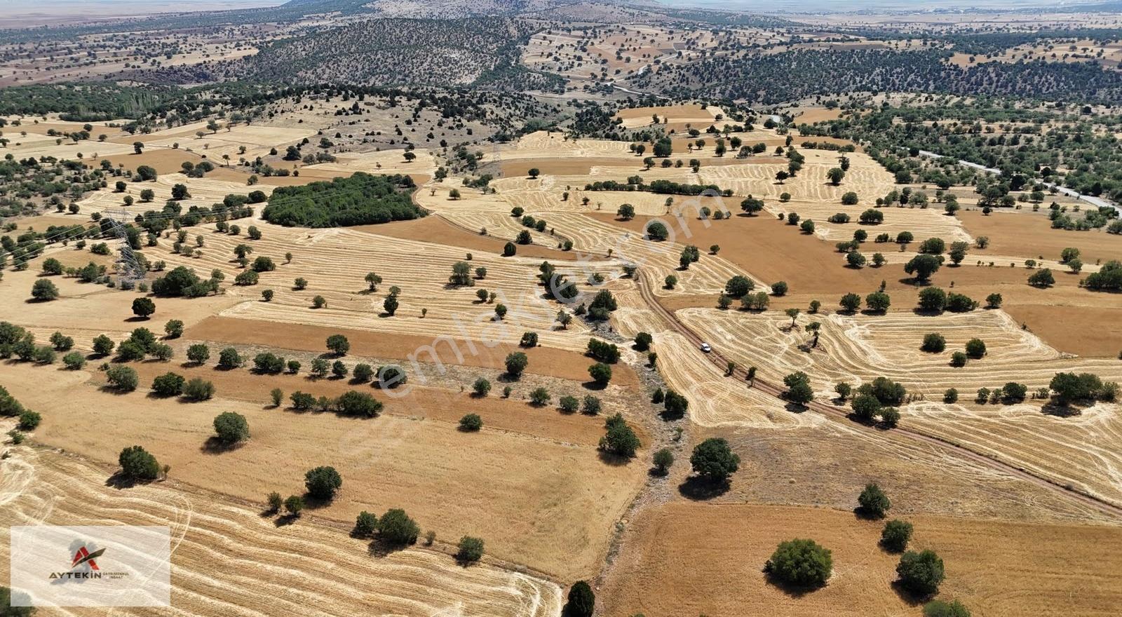 Güneysınır Kurukavak Mahallesinde 640 M² Müstakil Tapulu Tarla - Görsel 6