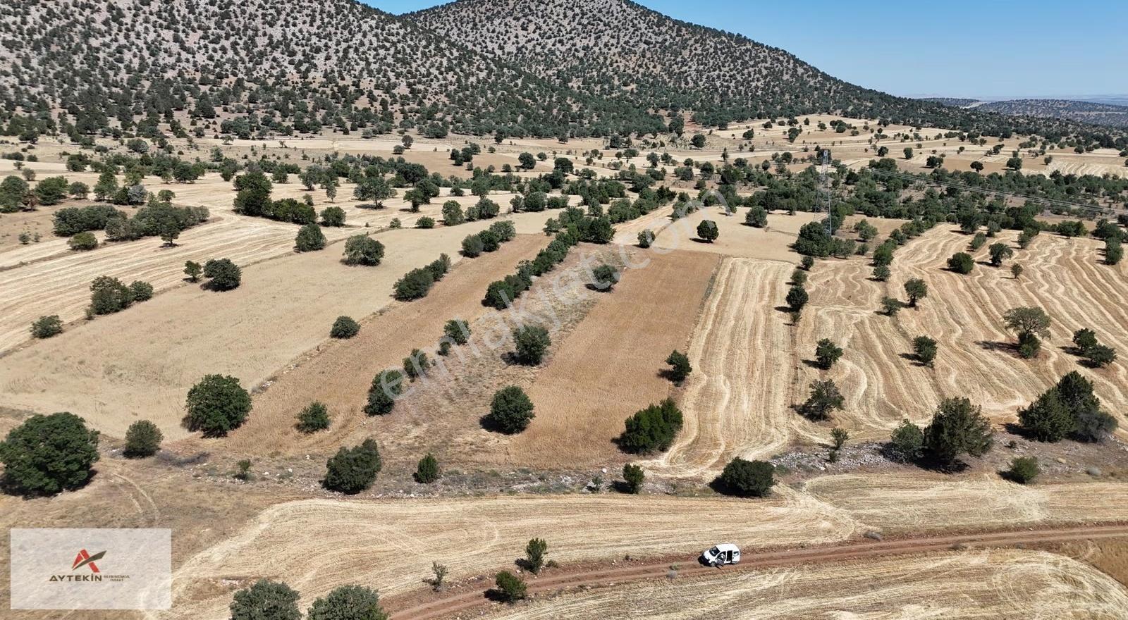 Güneysınır Kurukavak Mahallesinde 640 M² Müstakil Tapulu Tarla