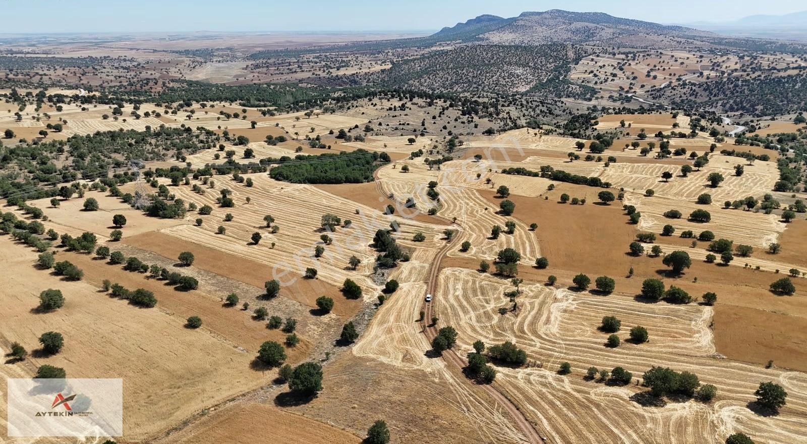 Güneysınır Kurukavak Mahallesinde 640 M² Müstakil Tapulu Tarla - Görsel 3