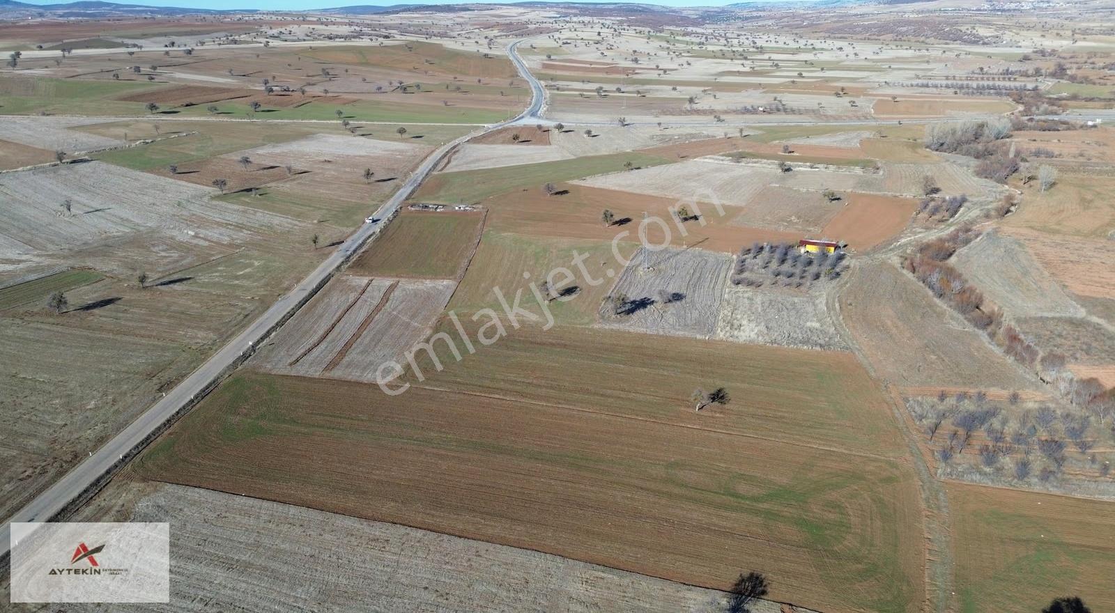 Beyşehir Yenidoğansarayyolunda 2.779 M² Müstakil Tapulu Tarla - Görsel 5