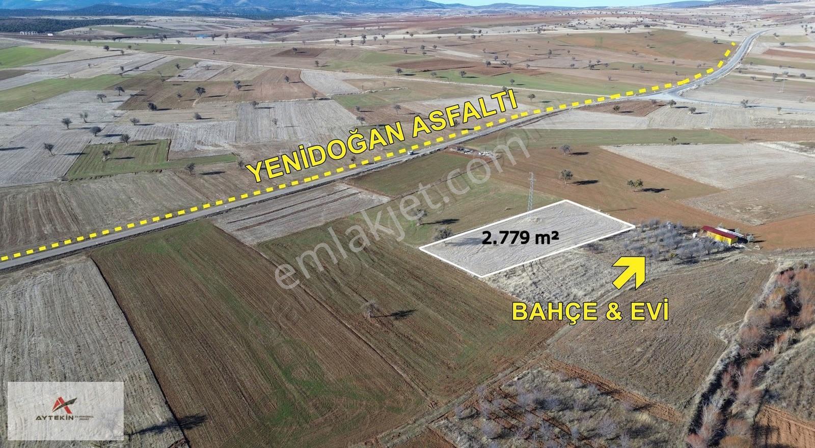 Beyşehir Yenidoğansarayyolunda 2.779 M² Müstakil Tapulu Tarla - Görsel 11