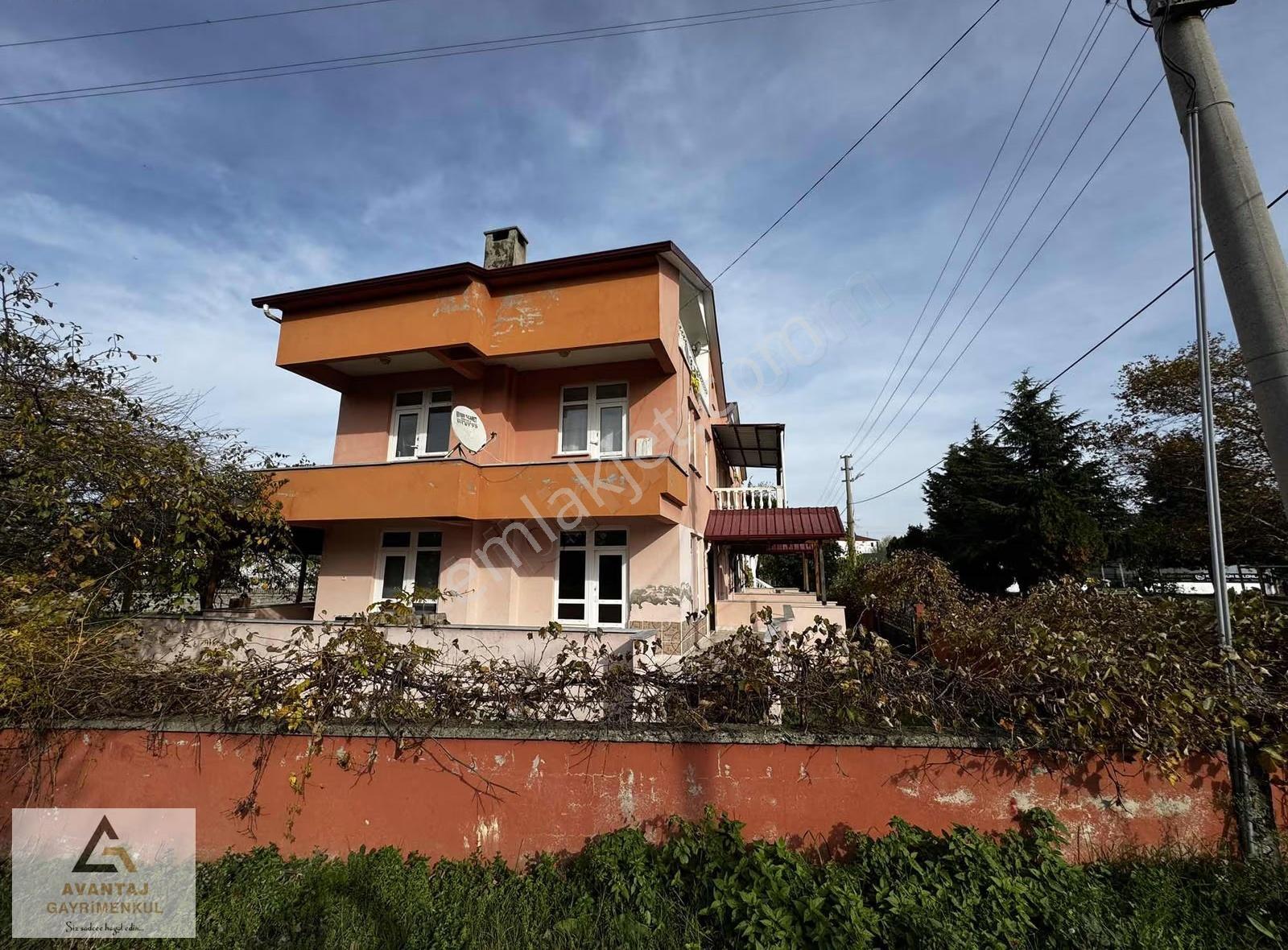 Dereköyde Satılık Bitişik 2 Adet Yazlık Denize 250m - Görsel 8