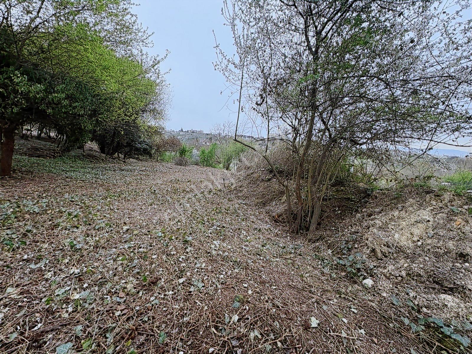 Satılık Arsa - Görsel 4
