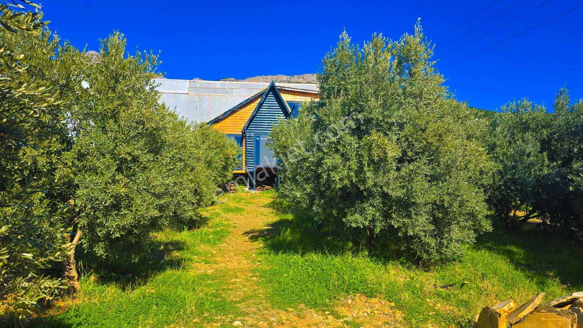 Mersin Anamur Bozdoğan Satılık Villa Arsası - Görsel 3