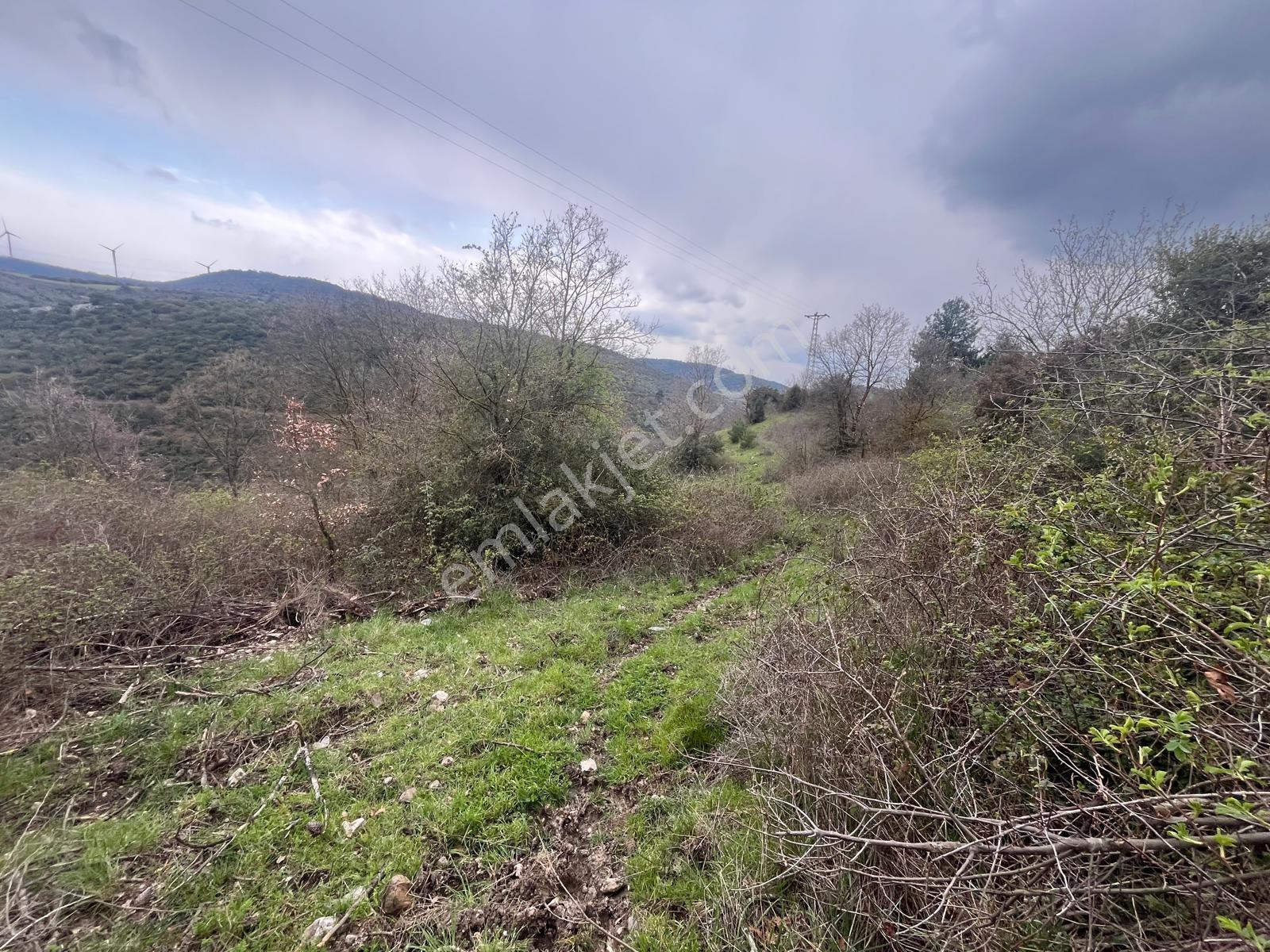 Fırsat Arazi! 10.575 M2 Asfalta (2. Parsel) Elektrik,suya Yakın - Görsel 18