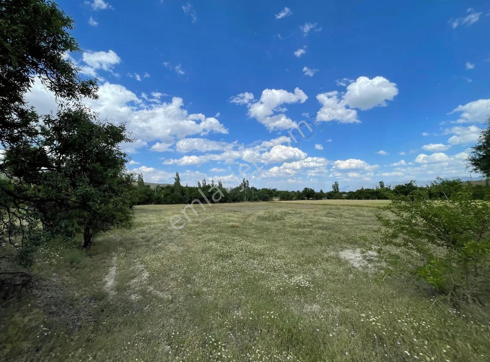 Etminik(altınçevre) (3.934m2) Satılık Bahçelik Tarla - Görsel 5