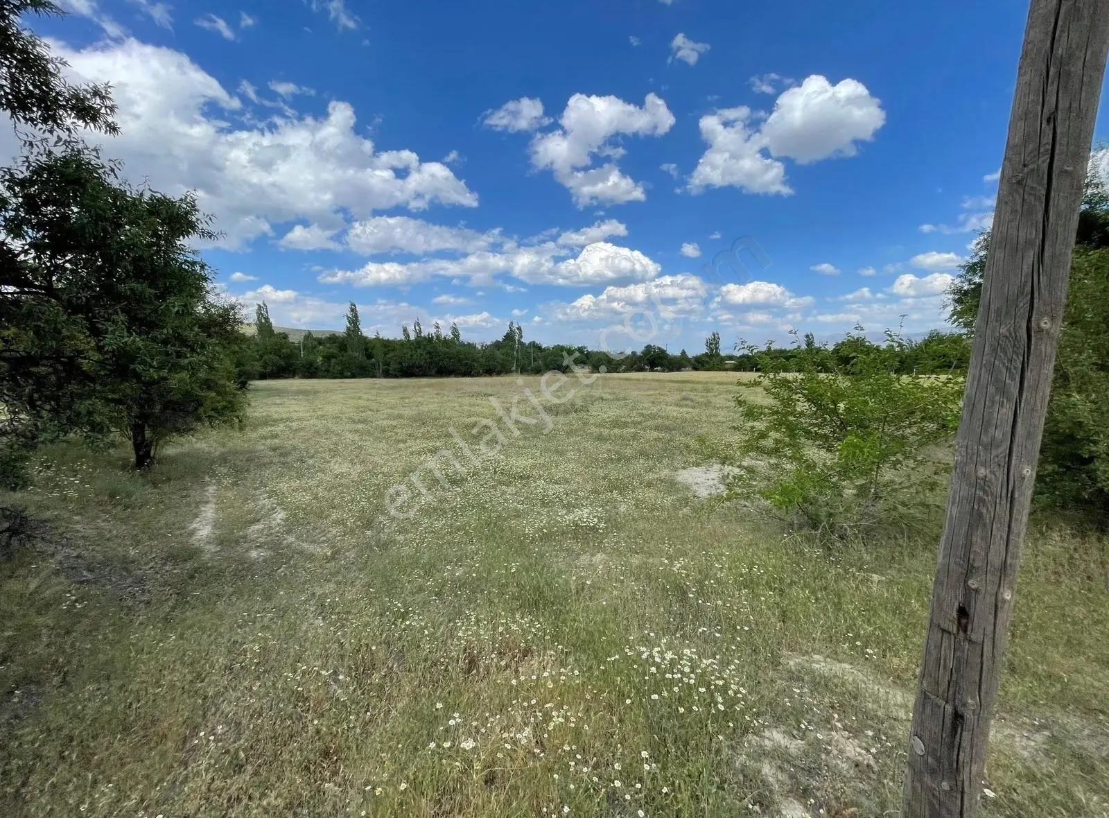 Etminik(altınçevre) (3.934m2) Satılık Bahçelik Tarla