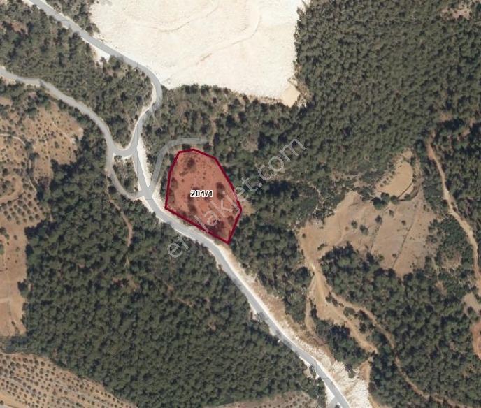 Kozağaç'ta Satılık Kadastrol Asfalt Yola Cephe 8300 M² Düz Tarla - Görsel 3