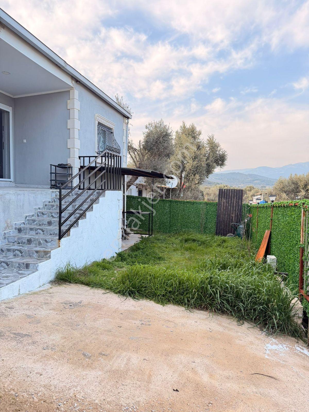 İzmir Torbalı Çapak'ta İçinde Ev Olan Zeytinlikli Bahçe - Görsel 15