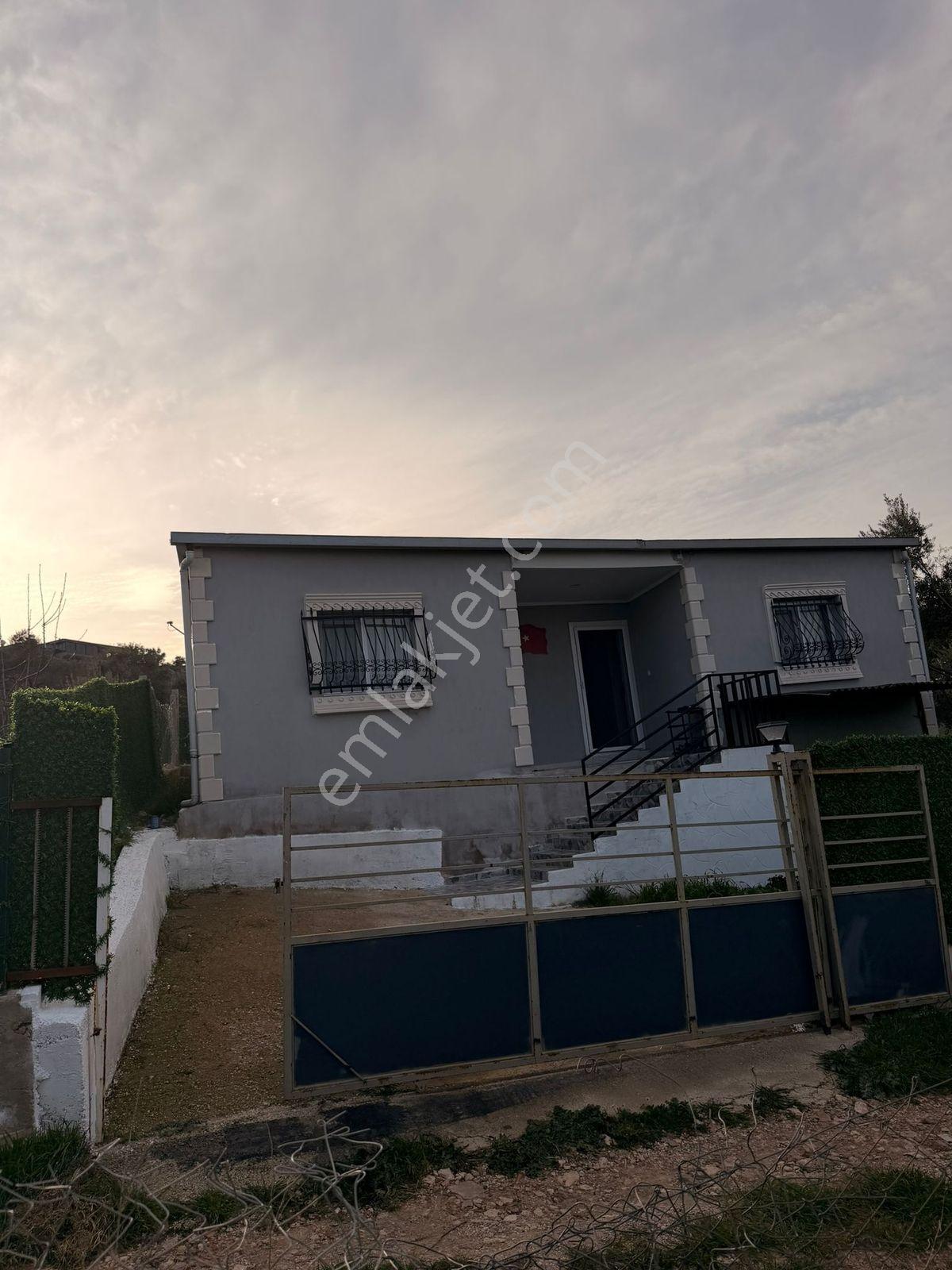 İzmir Torbalı Çapak'ta İçinde Ev Olan Zeytinlikli Bahçe - Görsel 3