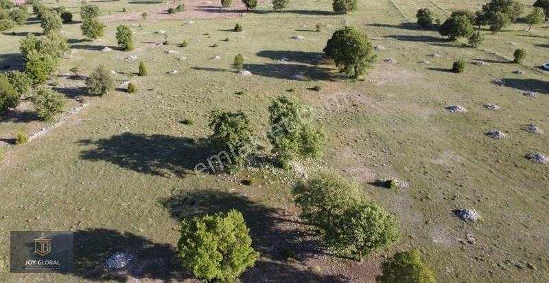 Eskişehir Han Akdere 9 Dönüm Tek Tapu - Görsel 3
