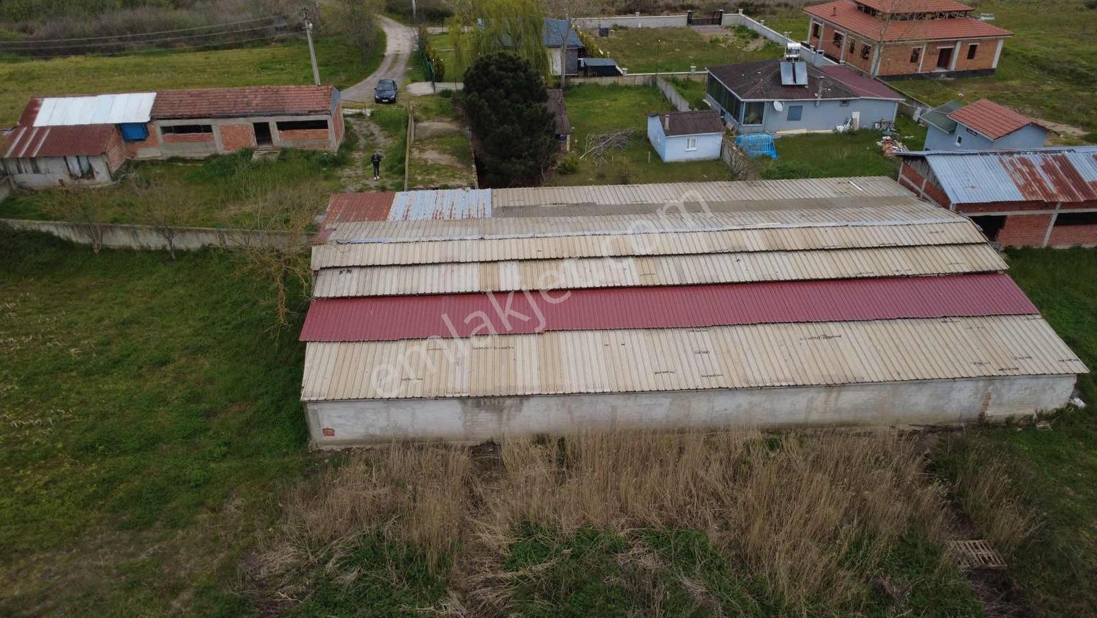 Karasu Çınardan 2000 M2 Arsa - Görsel 6