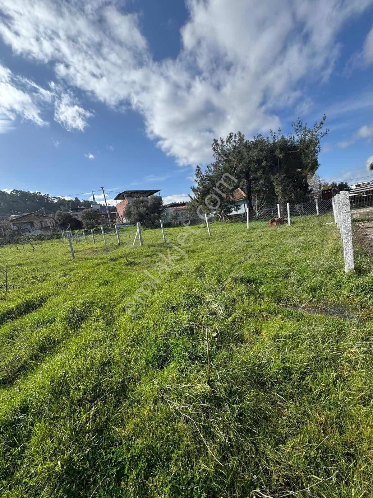 Kemalpaşa Yeşilyurt 313 M² Satılık Arsa - Görsel 6