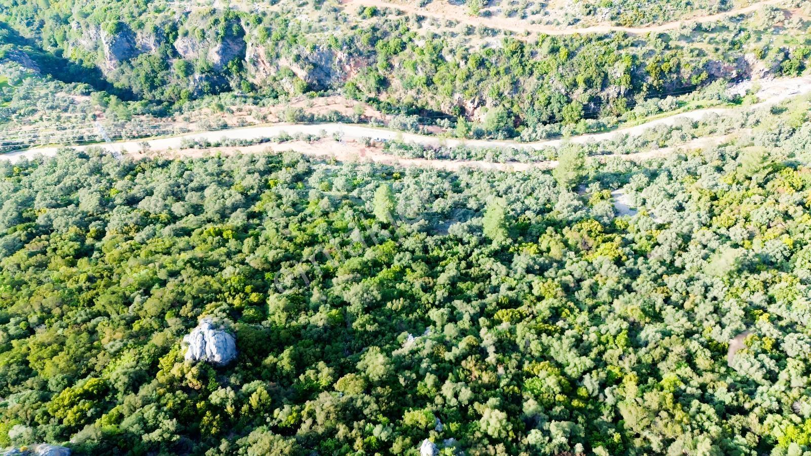 Kaş Yeşilöy'de Büyük Parça Yer Arayanlara Kaçırılmayacak Fırsat - Görsel 16