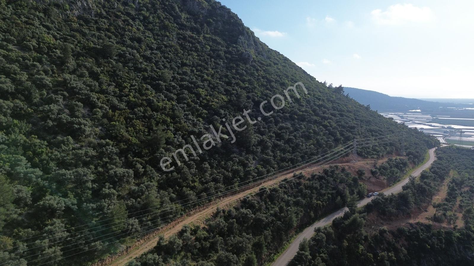 Kaş Yeşilöy'de Büyük Parça Yer Arayanlara Kaçırılmayacak Fırsat - Görsel 7