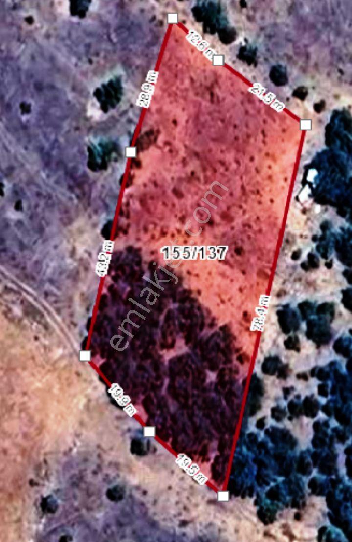 Konya/beyşehir /damlapınar Mh Müstakil Sahibinden Tarla/bahce - Görsel 24