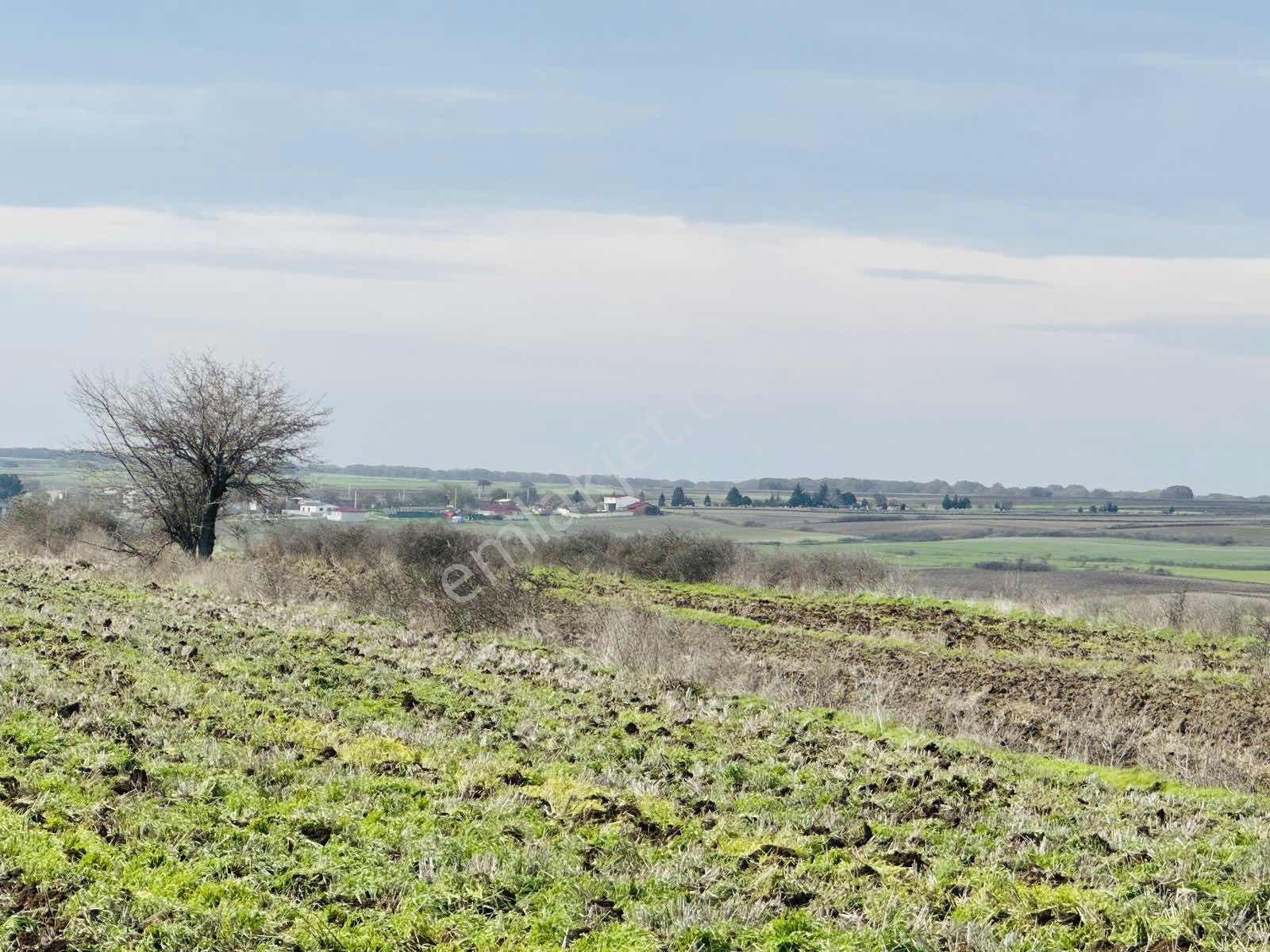 Tekirdağ Saray Çukuryurtta Kelepir Arsa Yatırımlık - Görsel 10