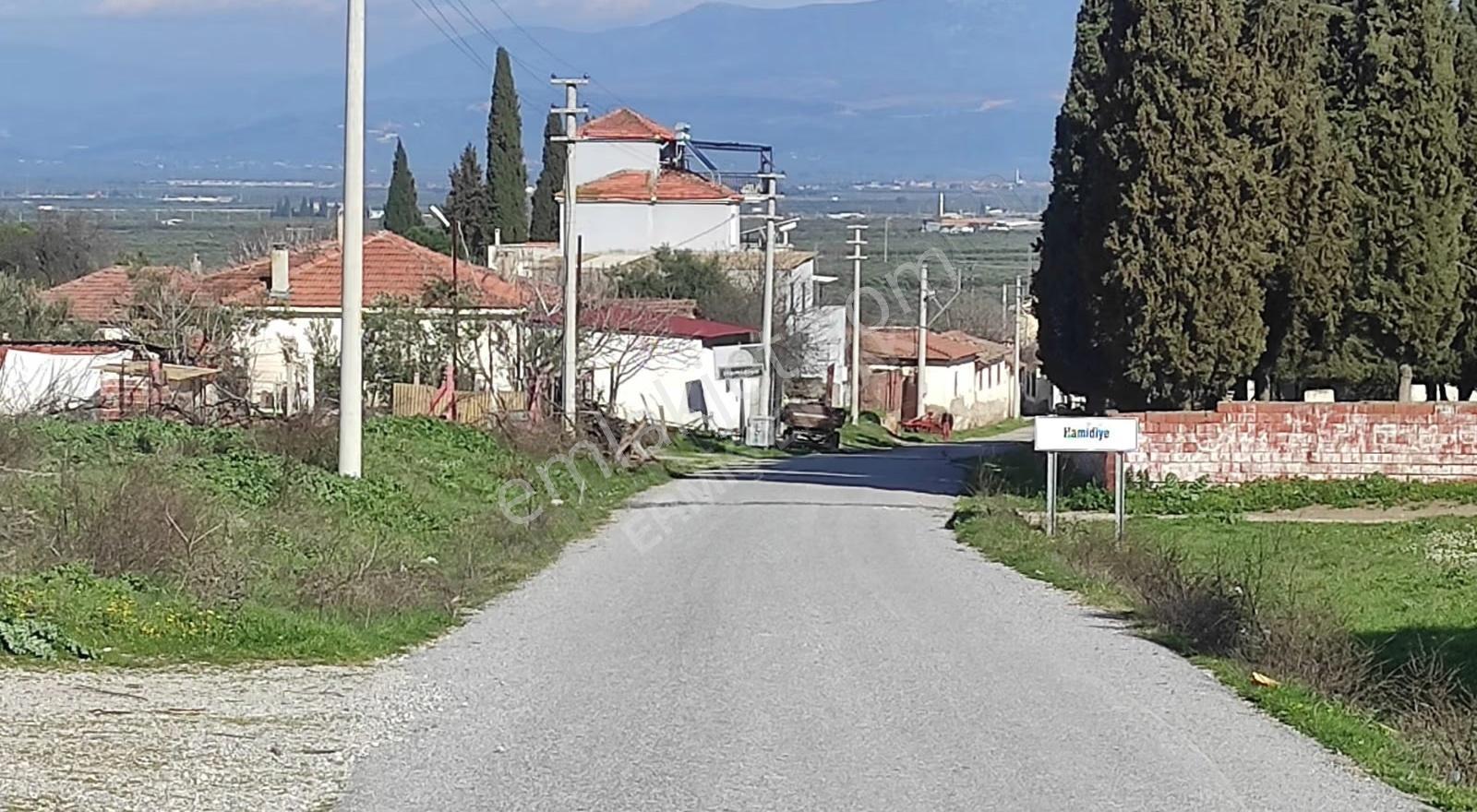 Hamidiye Mah. Tek Tapu 1650 M2 Zeytinlik - Görsel 15