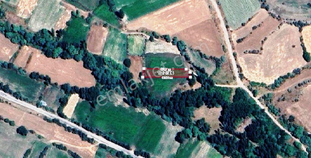 Konya /beyşehir/damlapınar Mh Müstakil Sahibinden Tarla/bahçe - Görsel 6