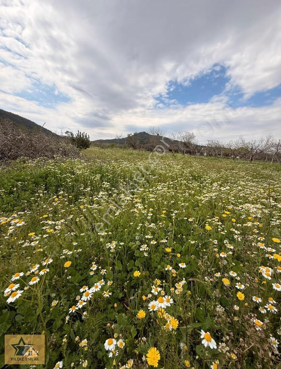 Muğla Ula Köprübaşı'nda Satılık 3.199 M² Yayla Ve Prefabrik Evi - Görsel 12