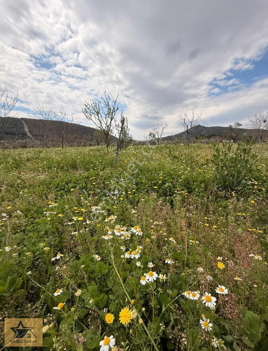 Muğla Ula Köprübaşı'nda Satılık 3.199 M² Yayla Ve Prefabrik Evi - Görsel 15
