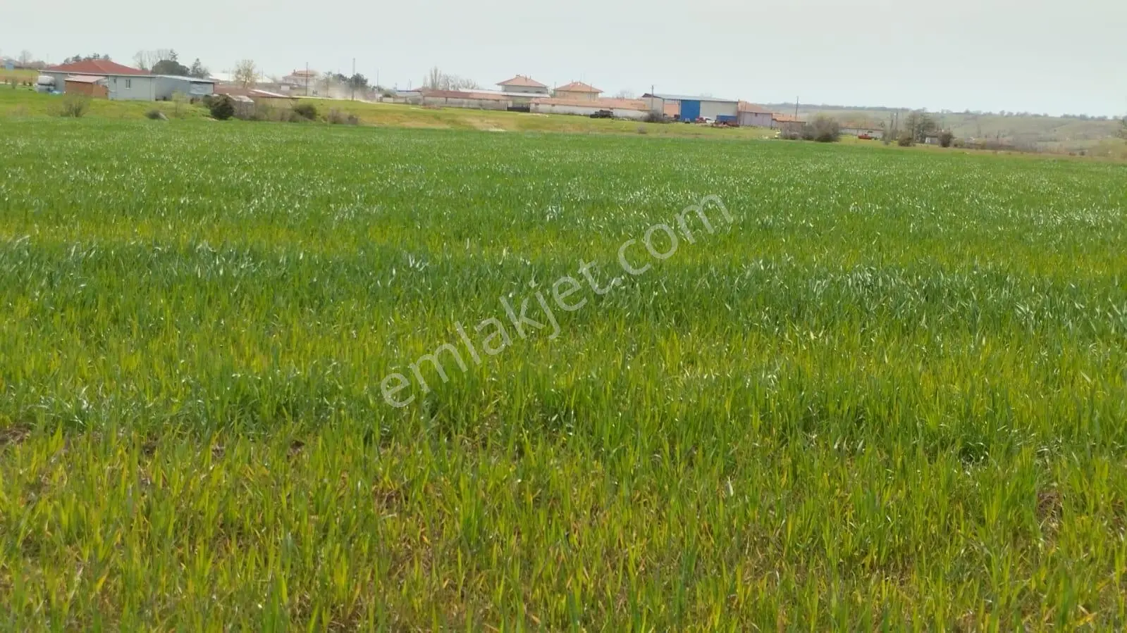 Kırklareli-vize Doğanca Köyünde Yatırımcıya Tarla