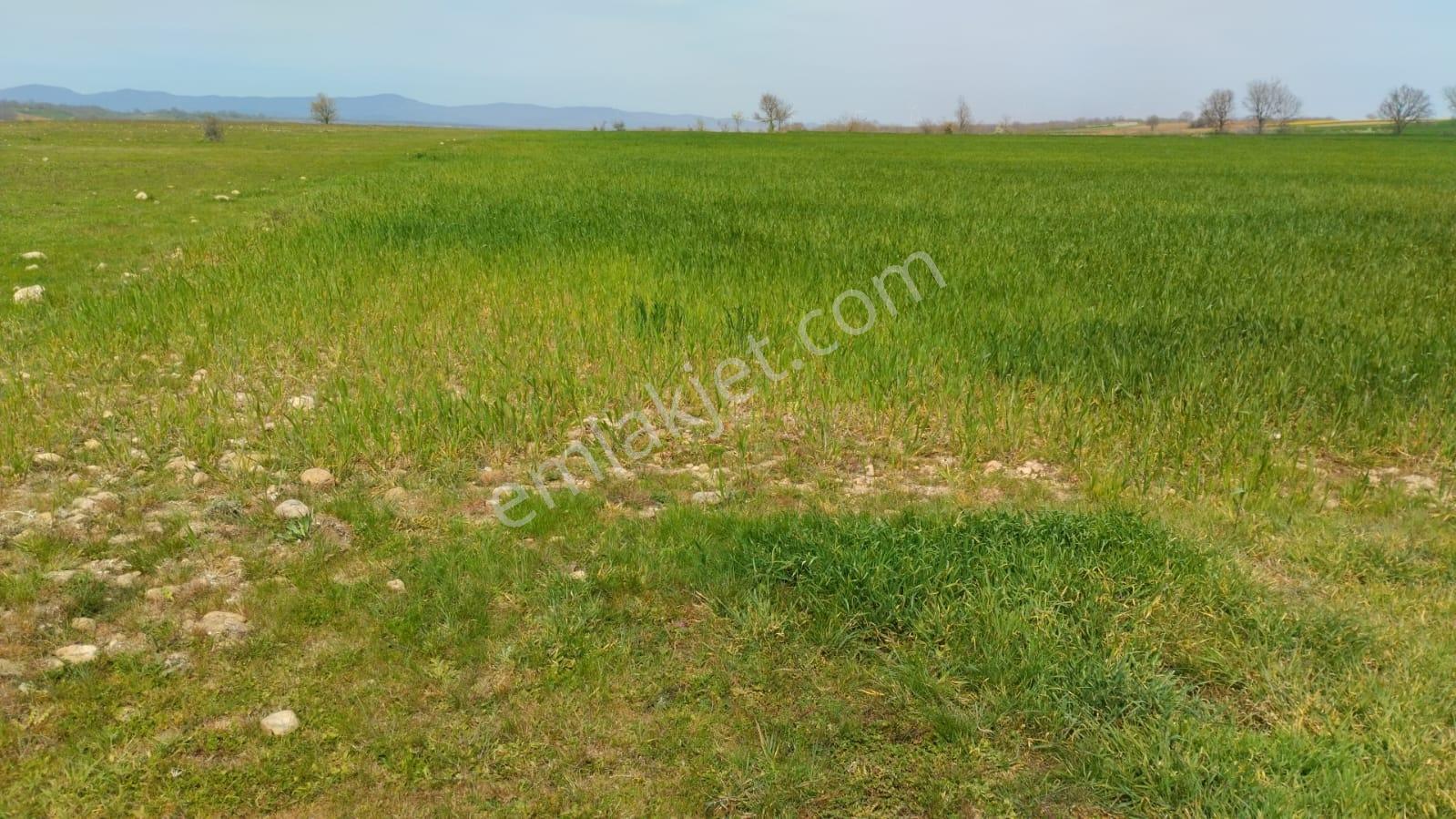 Kırklareli-vize Doğanca Köyünde Yatırımcıya Tarla - Görsel 7