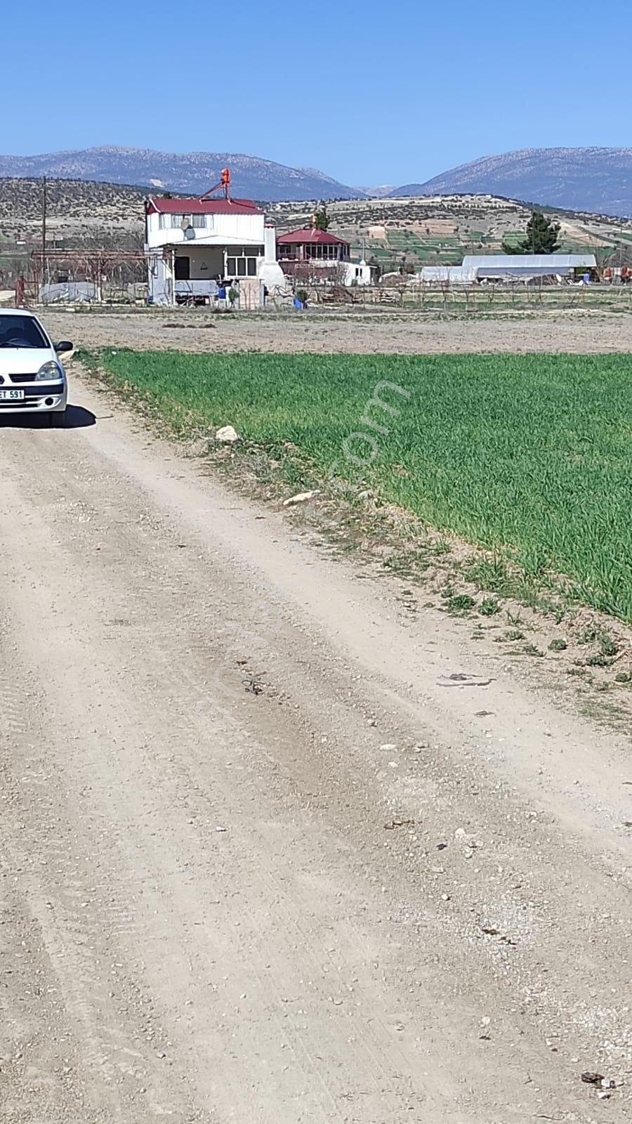 Korkuteli Büyükköy Mahallesi'nde 1811 M² Müstakil Tapulu Tarla