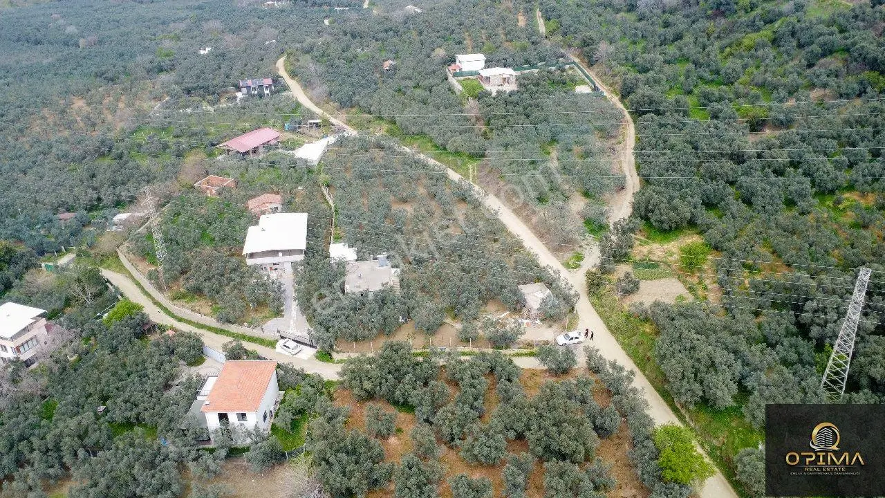 Opima Emlak'tan Atatürk'te Zeytinlik İçerisinde Satılık 2+1 Müstakil Ev