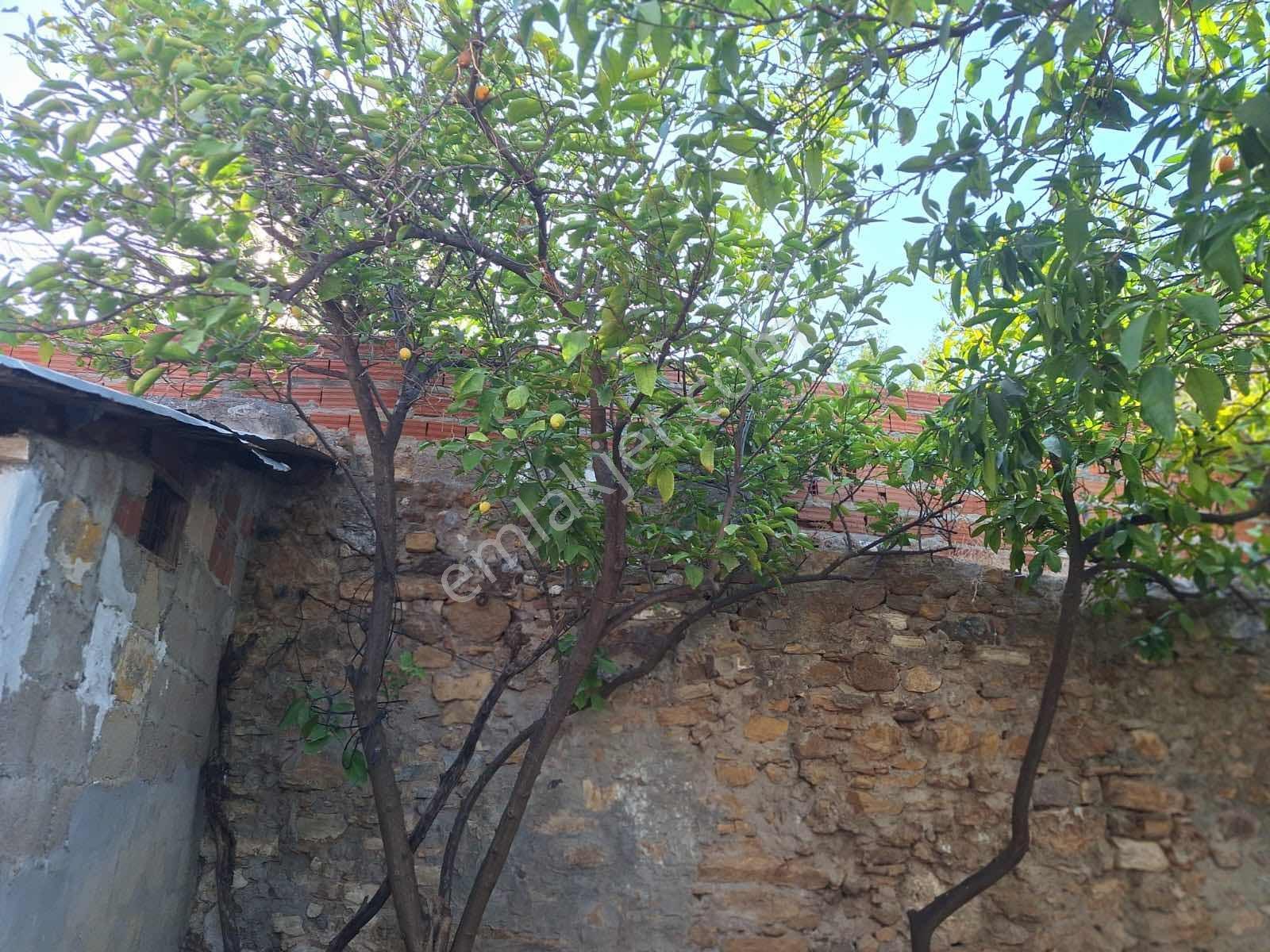 Gömeç Karaağaç Mahallesinde Fırsat 2 Adet Köy Evi - Görsel 19