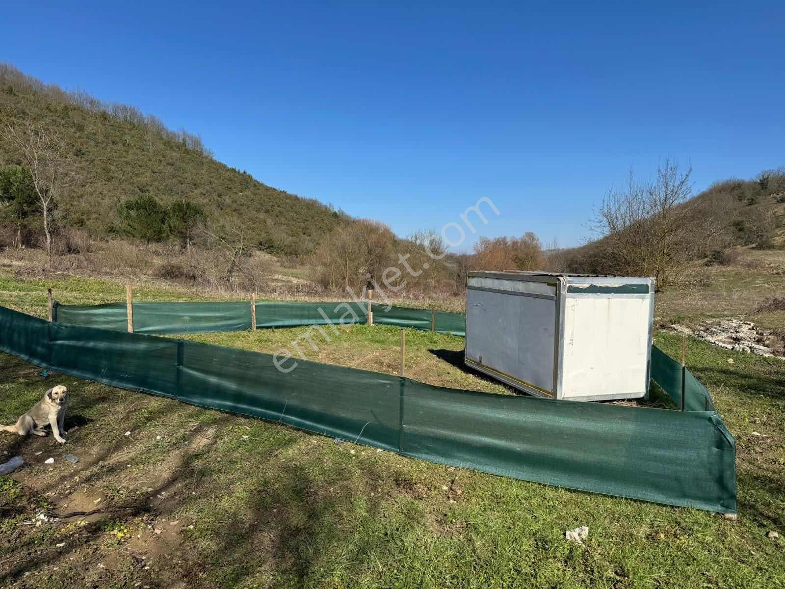Karasu Çınardan Kocaeli Derince De 160 M2 Arsa