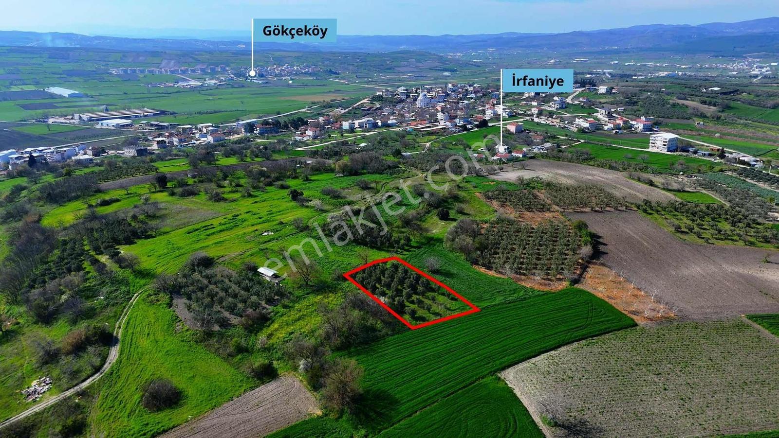 İrfaniye'de İmar Planı Ve Köy Yerleşimine Komşu Fırsat Arazi - Görsel 15