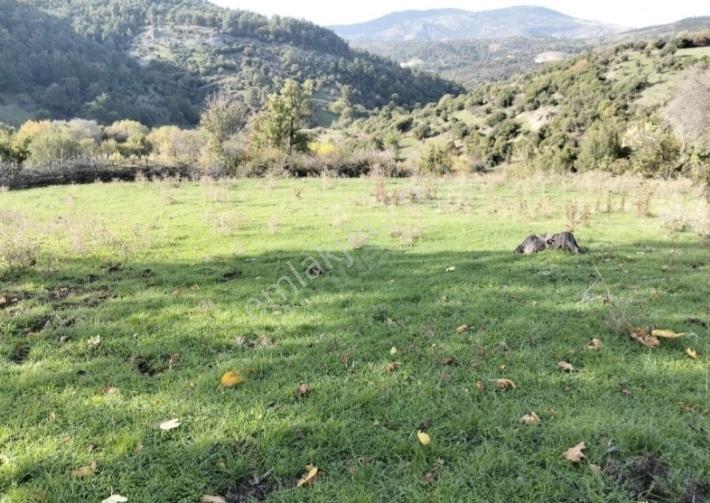 Çanakkale Merkez Kirazlı Köyünde İmarlı 539 M2 Arsa Satılıktır. - Görsel 5