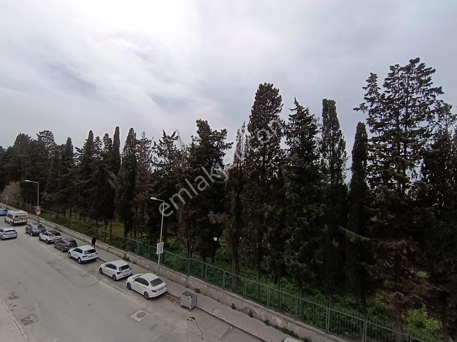 Bakırköy Orman Manzaralı, Sıfır 3+1 Satılık Daire - Görsel 19
