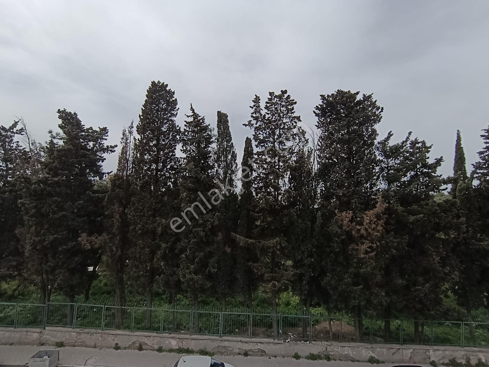 Bakırköy Orman Manzaralı, Sıfır 3+1 Satılık Daire - Görsel 12