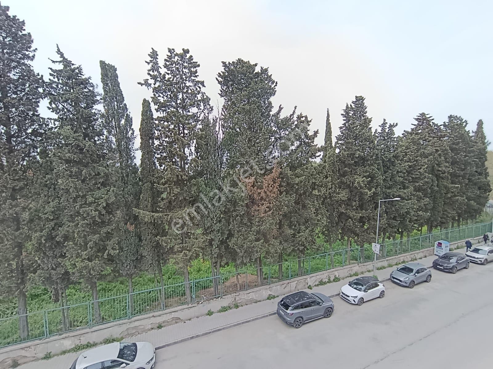 Bakırköy Orman Manzaralı, Sıfır 3+1 Satılık Daire - Görsel 13