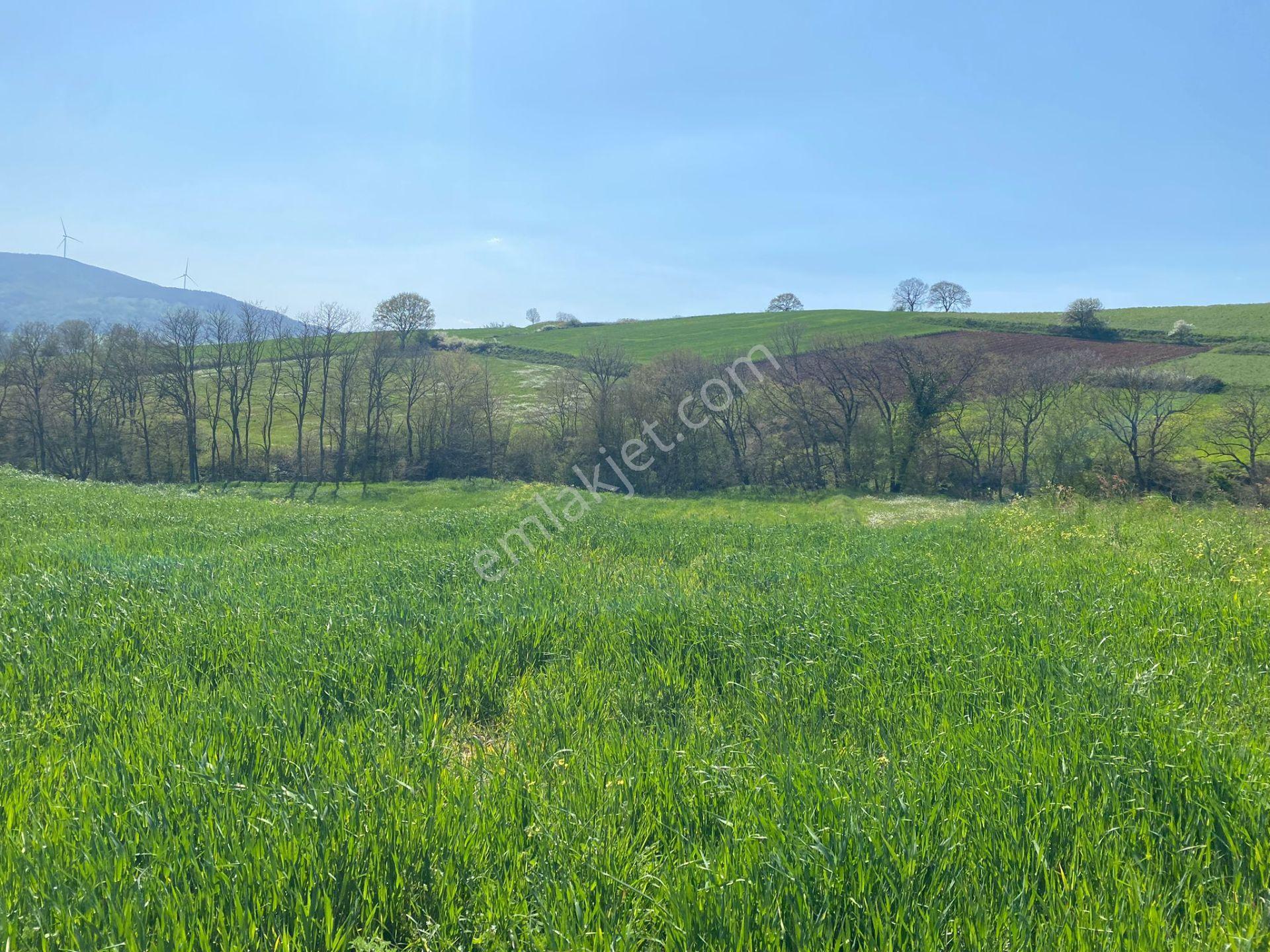 Balıkesir İli Karesi İlçesi Kurtdere Mah. Satılık Tarla - Görsel 5
