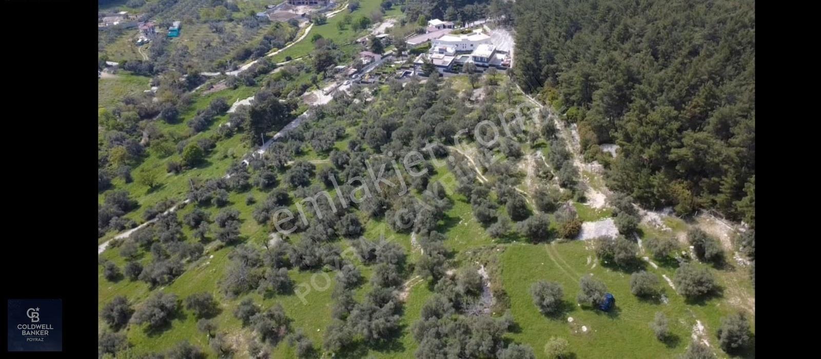 Buca Zafer Mah. Otoban Çıkışı Yakını Satılık 2.200 M² Tarla - Görsel 8