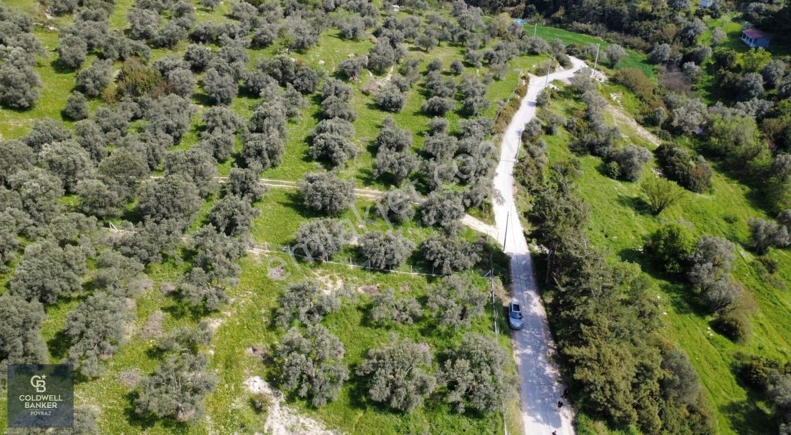 Buca Zafer Mah. Otoban Çıkışı Yakını Satılık 2.200 M² Tarla - Görsel 14
