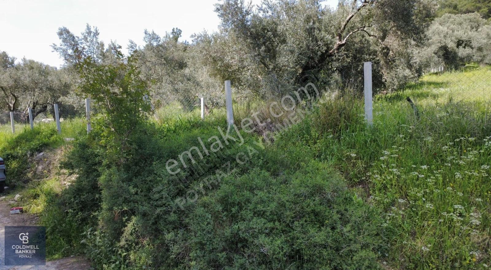 Buca Zafer Mah. Otoban Çıkışı Yakını Satılık 2.200 M² Tarla - Görsel 31