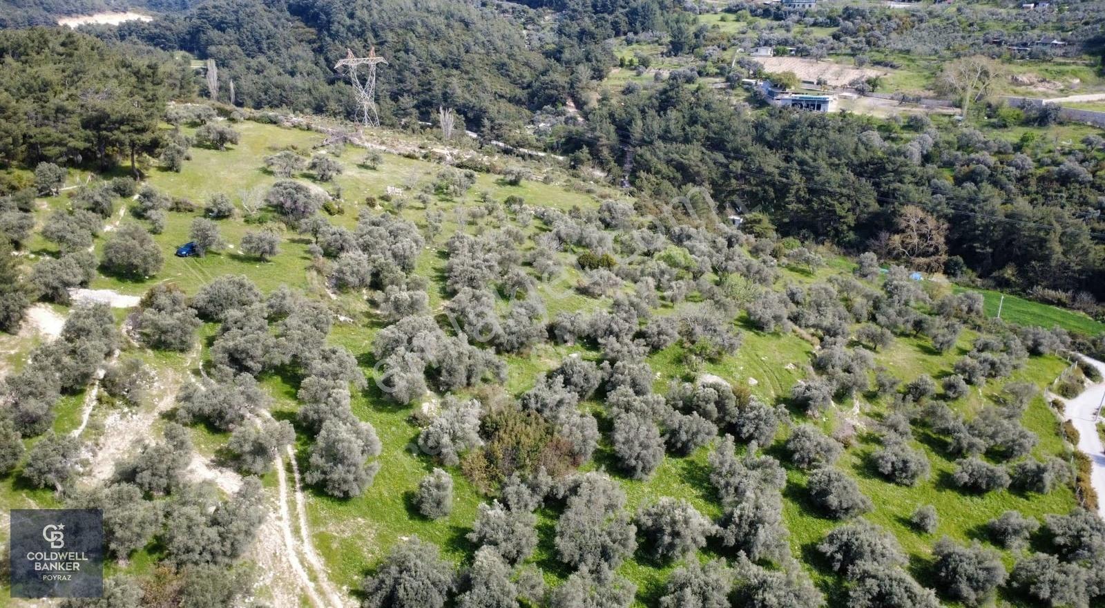 Buca Zafer Mah. Otoban Çıkışı Yakını Satılık 2.200 M² Tarla - Görsel 3