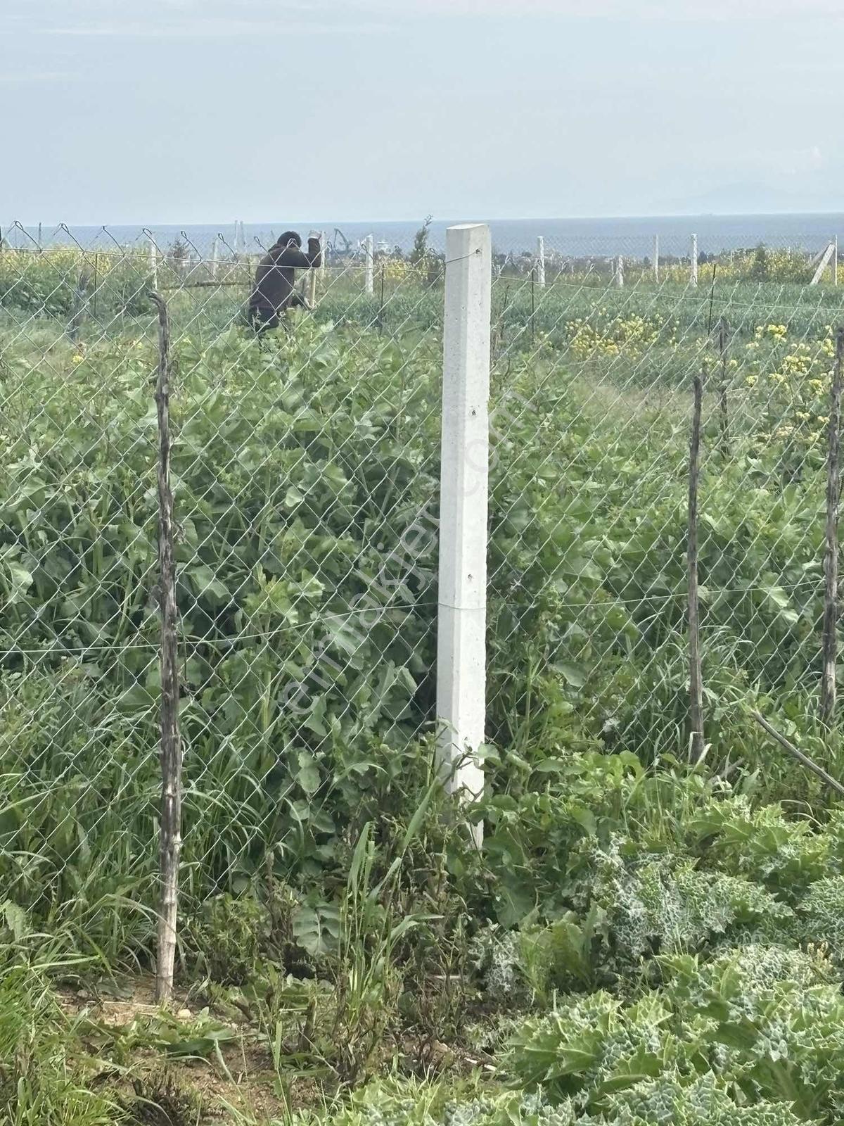 Tekirdağ Marmarereğlisi Bahçelievler Mahallesi - Görsel 2