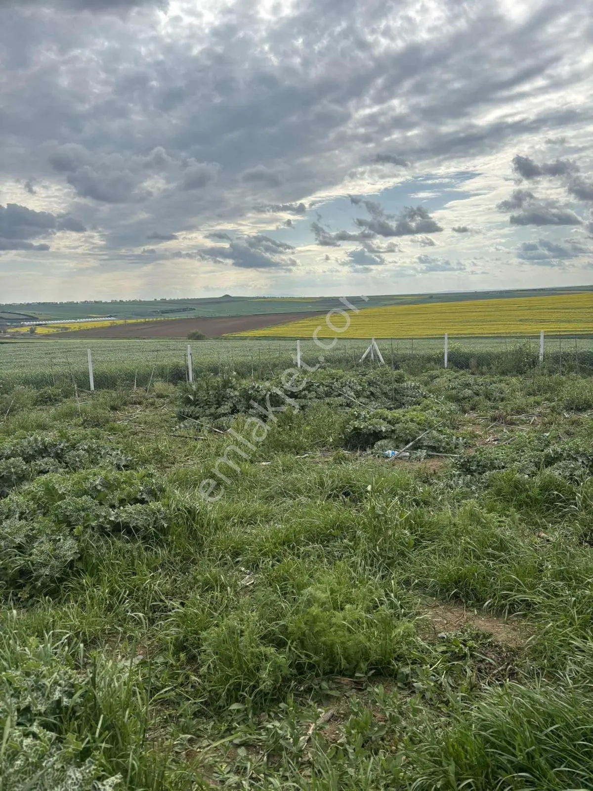 Tekirdağ Marmarereğlisi Bahçelievler Mahallesi