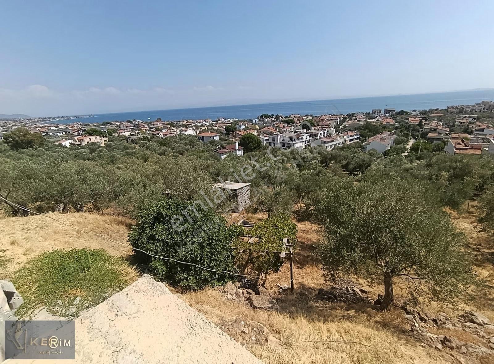 Kerim'den Satılık Küçükkuyu'da Otel Yapımına Uygun Zeytinlik - Görsel 14