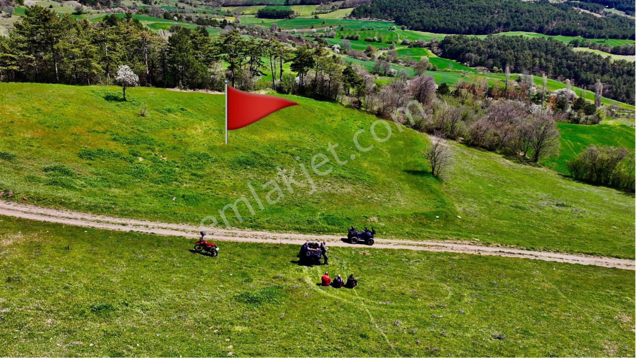 Sakarya Taraklı İçdedeler’de Yola Cephe 4.107 M² Satılık Tarla - Görsel 10